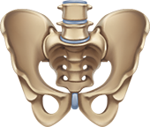 Imagen Terapia vojta